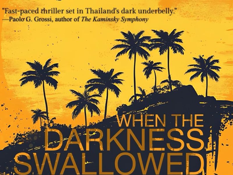 When the Darkness Swallowed the Sun by Robin&nbsp;Newbold