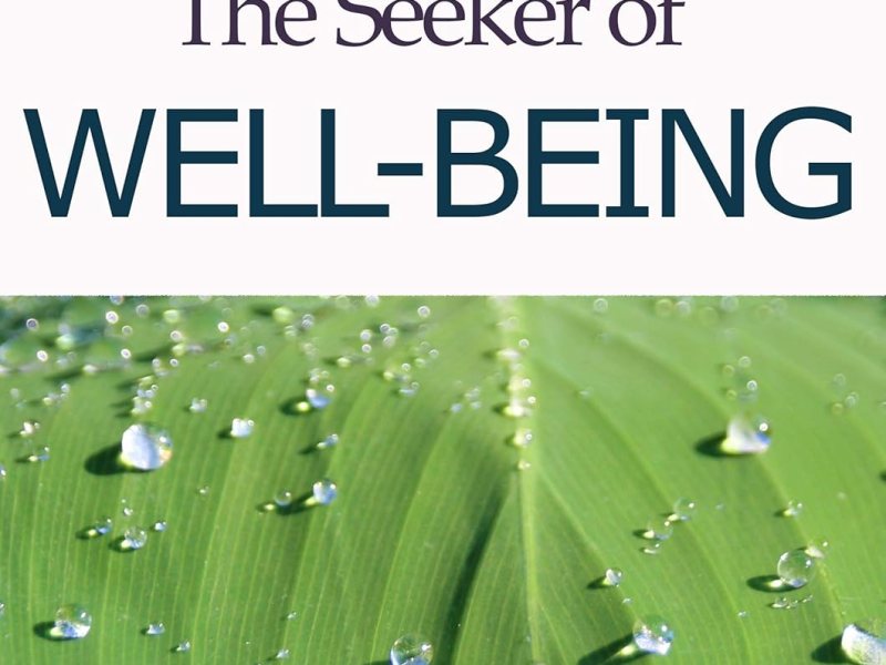 The Seeker of Well-Being by Indrajit&nbsp;Garai